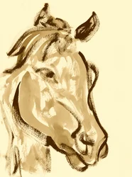 Expressieve paardenkop