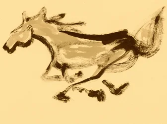 Beweging van een galopperend paard