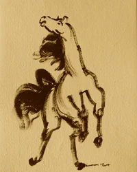 Paard 24