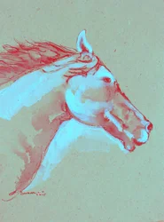 Levendige paardenkop