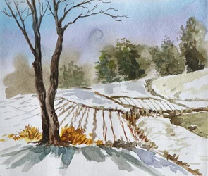 Winterlandschap