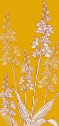 Spinorchidee, 2017