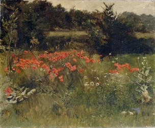 Klaprozen, Reigate