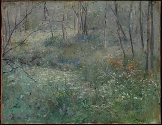 Wilde peterselie