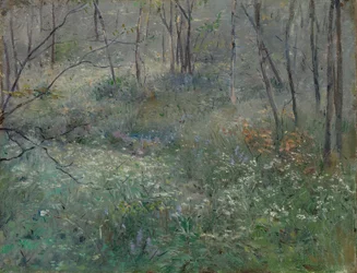 Wilde peterselie, 1900