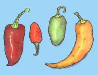 Chilipepers