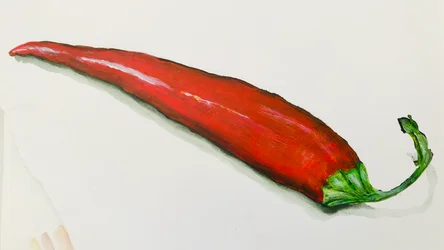 Rode chilipeper, 2020