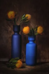 Oranje bloesems in blauw