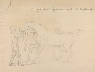 Een Paard en Drie Verzorgers