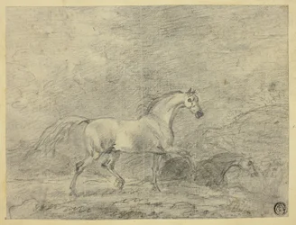 Paarden
