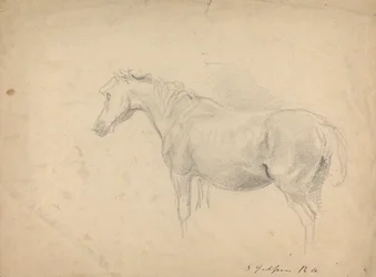 Schets van een Paard