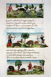 Byzantijnse kunst: wilde zwijnenjacht. Verschillende jachttechnieken. Boven: vangst van bieten in netten. In het midden jacht op wild met een boog. Onder: jagers aangevallen door dieren. Miniatuur in De venatione folio 19, door Oppian van Syrië