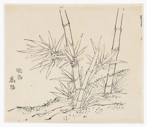 Tien Bamboe Serie