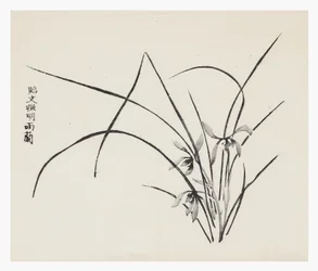 Tien Bamboe Serie
