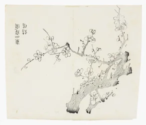 Tien Bamboe Serie