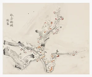 Tien Bamboe Serie