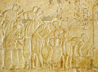 Oud Egypte, Muur gravure, Graf van Petosiris, 300 v.Chr., Tunael Gebel, Verzamelen en bottelen van de wijn