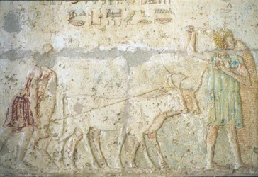 Oude Egypte, muurschildering, Graf van Petosiris, Tuna el Gebel, 300 v.Chr., Ploegen en zaaien van gewassen