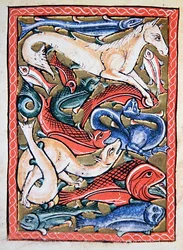 Vissen en zeedieren, facsimile van een 12e-eeuwse manuscript miniatuur