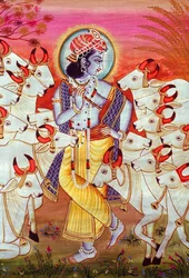 Heer Krishna en Koeien Miniatuurschilderij