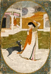 Nayika met hert, Punjab Hills