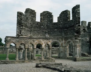 Mellifont Abbey nabij Drogheda