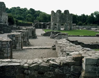 Mellifont Abbey nabij Drogheda
