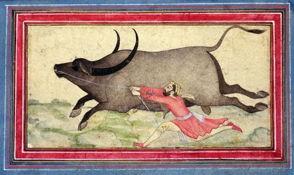 Weglopende Buffel, Johnson Album XIV, no.11, verso, c.1700