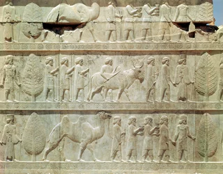 Detail van de reliëffries op de oostelijke trap naar de Apadana (audiëntiezaal) die afgevaardigden uit de onderworpen landen van het rijk afbeeldt met rijke geschenken voor een ceremonie, Achaemenidische periode, ca. 515 v.Chr.