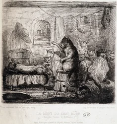 De Dood van de Kat Murr (uit de verhalen van Hoffmann) - Tekening, Portugal