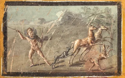 Houdt van jagen, Herculaneum