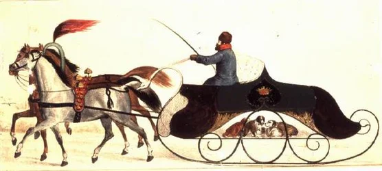 Paardenslee