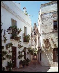 Uitzicht op de minaret (klokkentoren) van de Grote Moskee van de Omayyaden (Mezquita), nu kathedraal, vanaf Calle de los flores, Cordoba Spanje