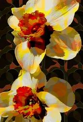 Narcis (digitaal)