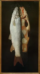 Visstilleven