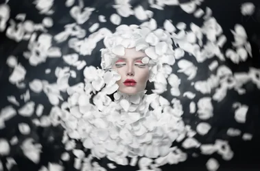 Droom van witte bloemblaadjes