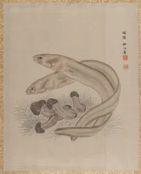 Paling, ca. 1890-92