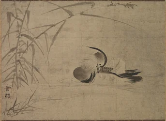 Mandarijneend, 1500s