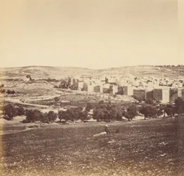 Panoramisch Uitzicht op de Stad