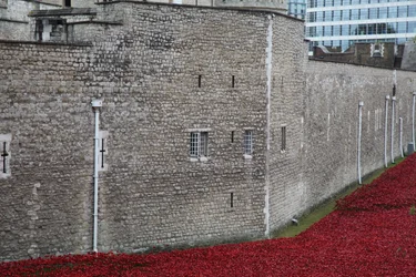 Blood Swept Lands and Seas of Red, Tower of London