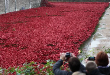 Bloed doordrenkte landen en zeeën van rood, Tower of London