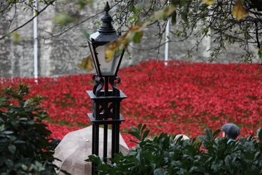 Bloed doordrenkte landen en zeeën van rood, Tower of London
