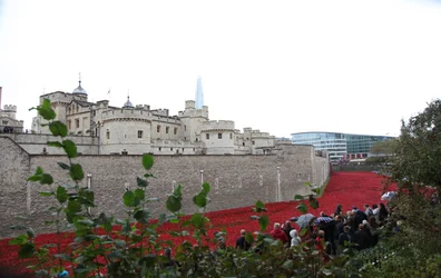 Bloed doordrenkte landen en zeeën van rood, Tower of London, 2014