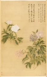 Pioenen, hangende rol