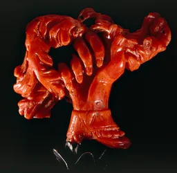 Hand met rol: klein object in koraal
