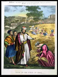 Ruth op het veld van Boaz, uit een door Edward Gover gedrukte Bijbel, jaren 1870