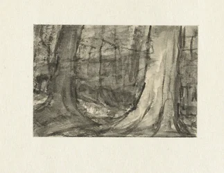 Gezicht tussen bomen