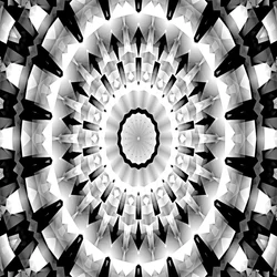 Zwart-wit symfonie