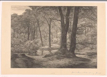 Gezicht op de Hunnenschans op de Veluwe De hunnenschans
