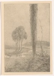 Landschap met bomen en beek
